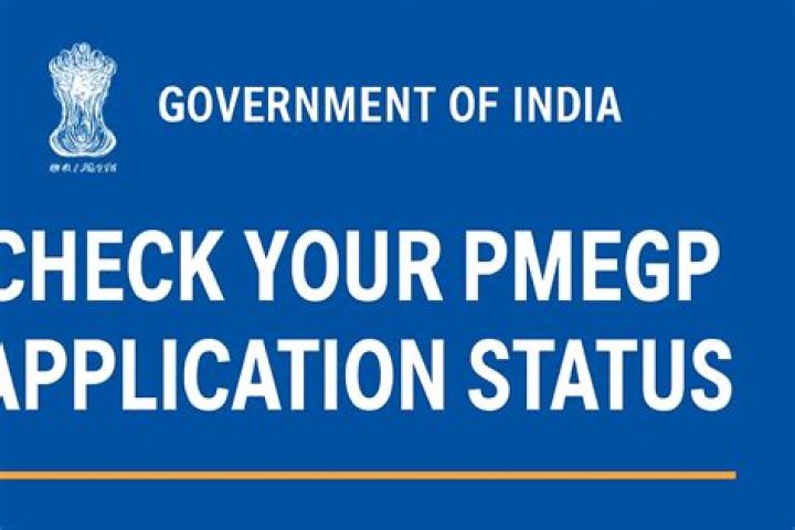Check Your PMEGP Application Status by Name: A Comprehensive Guide