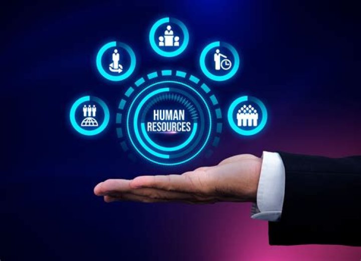 Dasirulz.com: Your Ultimate Resource for Digital Knowledge