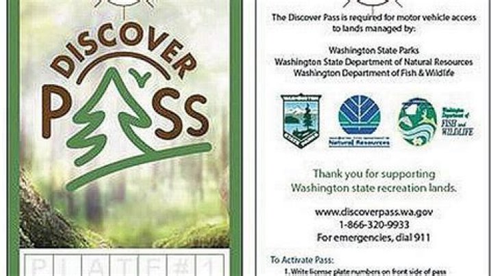 Discover Pellissippi: Your Local Guide & Resources