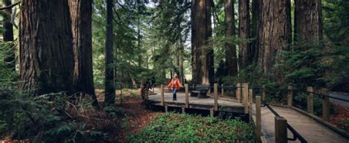 Exploring Big Sur National Park: A Comprehensive Guide
