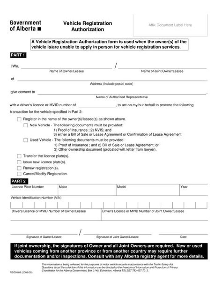 Naples DMV: Renew, Register & More!