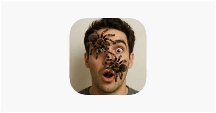 Spider Filter App: Revolutionizing Your Photo Editing Experience