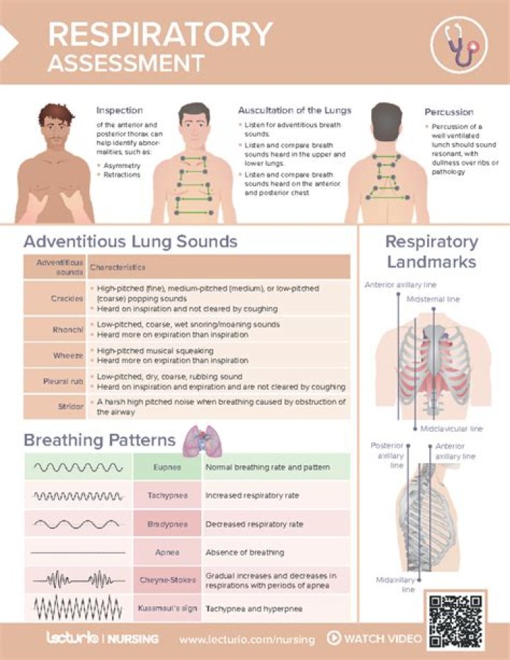 Understanding Respiration Rate: A Comprehensive Guide