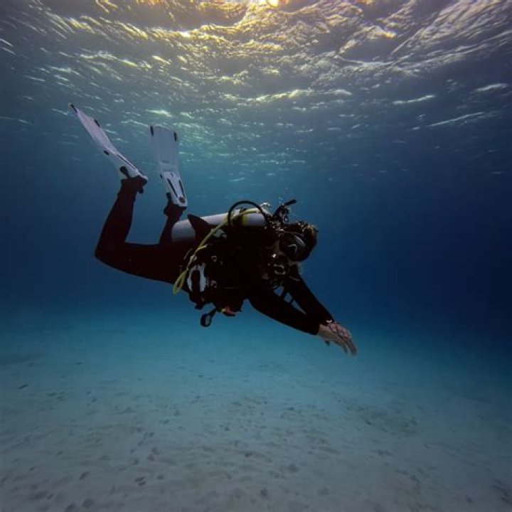 Unveiling DelvePoint: Your Deep Dive Starts Here